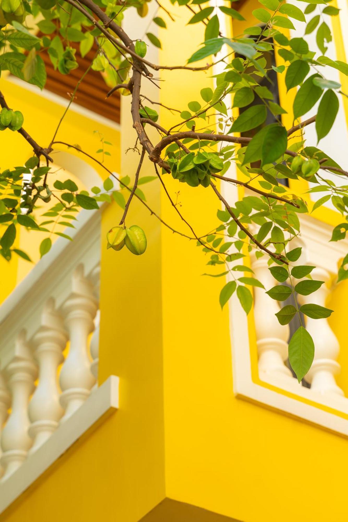 Quyen'S House Homestay Hội An Kültér fotó